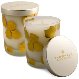 Soy Candle